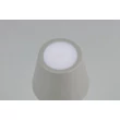 Trio DIAZ asztali lámpa fém, szürke, LED, 1W, 160lm, 2700K-6500K, IP44 - R55961177