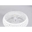 Trio BIDAR ventilátoros mennyezet lámpa fém, fehér, E27 - R61574031