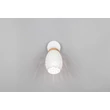 Trio BIDAR szpot fém, fehér, E14 - R81571731