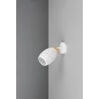 Trio BIDAR szpot fém, fehér, E14 - R81571731