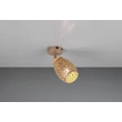 Trio BIDAR szpot fém, kávé, E14 - R81571765