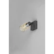 Trio CADIZ fali lámpa fém, üveg, fekete, borostyán, E14 - R81781032