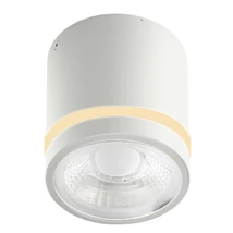 Azzardo VICI fürdőszobai mennyezet lámpa fém, műanyag, fehér, LED, 3000K-4000K-6000K, 12W, 720lm, IP44 - 6040