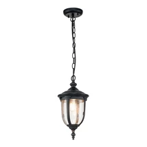 Elstead CLEVELAND kültéri függeszték fém, üveg, bronz, áttetsző, E27, IP44 - ELS-CL8-S
