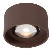 Lucide LENZ kültéri mennyezet lámpa fém, üveg, barna, áttetsző, LED, 8W, 450lm, 2700K, IP54 - 33805/08/97
