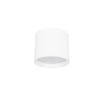 NovaLuce ZIAZA mennyezet lámpa fém, fehér, LED, 3000K, 10W, 550lm - 9030729