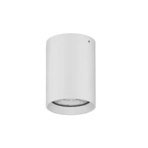 NovaLuce Dara kültéri mennyezet lámpa fém, üveg, fehér, LED, 3000K, 9W, 579lm, IP54 - NL-9136179