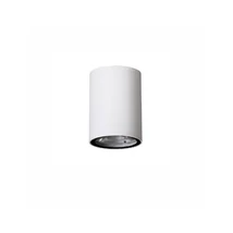 NovaLuce Ceci kültéri mennyezet lámpa fém, üveg, fehér, LED, 3000K, 6W, 520lm, IP65 - NL-9200612