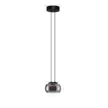 NovaLuce BIOS függeszték fém, üveg, fekete, füstszín, LED Triac, 9W, 3000K, 628 Lm - NL-9416954