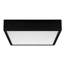 Rabalux LAURI mennyezet lámpa műanyag, fekete, fehér, LED, 3000K-4000K-6000K, 22W, 2100lm - 71247