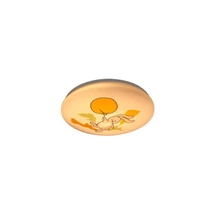 Rabalux HOPPLY mennyezeti gyerek lámpa fém, műanyag, fehér, LED, 24W, 3000K, 1440Lm - 71409