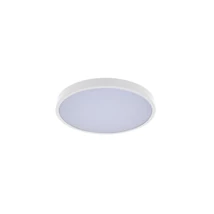 Rabalux ALENZO mennyezet lámpa  műanyag, fehér, LED, 24W, 3000-4000-6000K, 1530Lm, IP44 - 71428