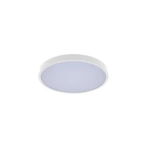 Rabalux ALENZO mennyezet lámpa  műanyag, fehér, LED, 36W, 3000-4000-6000K, 2450Lm, IP44 - 71429