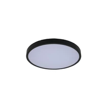 Rabalux ALENZO mennyezet lámpa  műanyag, fekete, fehér, LED, 36W, 3000-6000K, 2300Lm,IP44 - 71439