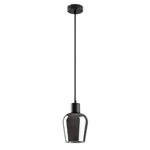 Rabalux FLORIAN függeszték fém, üveg, fekete, füstszín, E27 - 72270