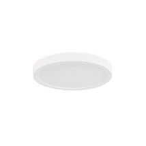Rabalux SHAUN PLUS fürdőszobai mennyezet lámpa műanyag, fehér, LED, 4000K, 30W, 3000lm , IP44 - 75073