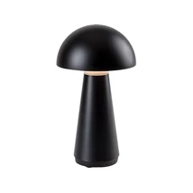 Rabalux ISHTAR dekor lámpa műanyag, fekete, LED, 3000K, 3W, 130lm - Rabalux-76007