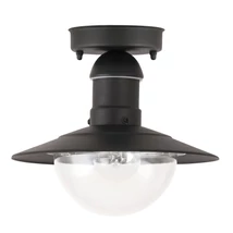 Rabalux OSLO kültéri függeszték E27 fém fekete műanyag burával átlátszó mediterrán stílus IP44 - 8716