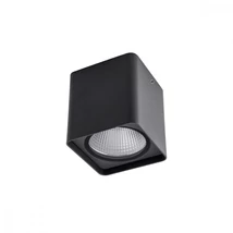 Redo XIA kültéri mennyezet lámpa fém, üveg, szürke, áttetsző, LED, 4000K, 20W, 1696lm, IP54 - 90032