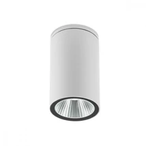 Redo RAM kültéri mennyezet lámpa fém, üveg, fehér, áttetsző, LED, 3000K, 3W, 288lm, IP65 - 90081