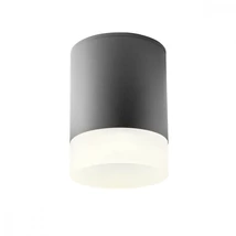 Redo XILO kültéri mennyezet lámpa fém, üveg, műanyag, szürke, áttetsző, fehér, LED, 4000K, 15W, 1410lm, IP54 - 90360