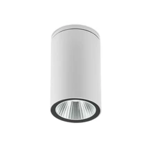 Redo RAM kültéri mennyezet lámpa fém, üveg, fehér, áttetsző, LED, 4W, 245lm, 2700K, IP65 - 90810