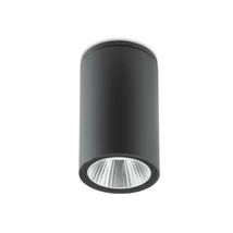 Redo RAM kültéri mennyezet lámpa fém, üveg, szürke, áttetsző, LED, 4W, 245lm, 2700K, IP65 - 90811