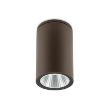 Redo RAM kültéri mennyezet lámpa fém, üveg, barna, áttetsző, LED, 4W, 245lm, 2700K, IP65 - 90812