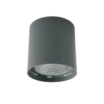 Redo XIA kültéri mennyezet lámpa fém, üveg, szürke, áttetsző, LED, 19W, 1430lm, 3000K, IP65 - 91205