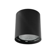 Redo XIA kültéri mennyezet lámpa fém, üveg, fekete, áttetsző, LED, 19W, 1502lm, 4000K, IP65 - 91209