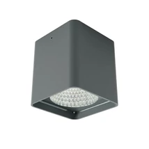 Redo XIA kültéri mennyezet lámpa fém, üveg, szürke, áttetsző, LED, 19W, 1502lm, 4000K, IP65 - 91217