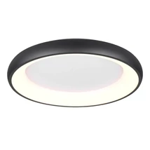 Trio CARDONA mennyezeti lámpa, fém, fekete, LED, 38W, 4400lm, 2300K+3000K+4000K - Trio-649616032