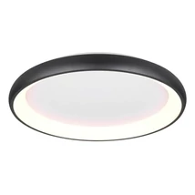 Trio CARDONA mennyezeti lámpa, fém, fekete, LED, 59W, 6900lm, 2300K+3000K+4000K - Trio-649617532