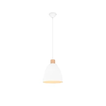 Trio JAGGER függeszték fém, fehér, E27 - R30681031