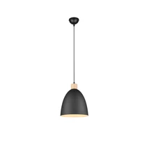 Trio JAGGER függeszték fém, fekete, E27 - R30681032