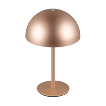 Trio MUNOZ asztali lámpa fém, barna, LED, 1W, 120lm, 3000K - R54891165