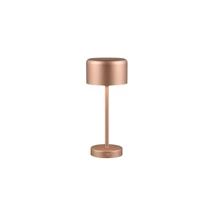 Trio JEFF asztali lámpa fém, kávészín, LED, 3000K, 1.5W, 120lm - R59151165
