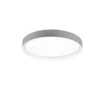 Trio ZETA mennyezet lámpa műanyag, szürke, fehér, LED, 2700K-6500K, 24W, 2500lm - R62712411