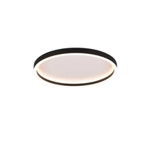 Trio ROTONDA mennyezet lámpa fém, fekete, LED, 3000K, 20W, 2600lm - R64502132