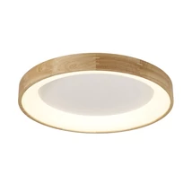 SILVAM LED - AZzardo - AZ-2697 - Mennyezet lámpa