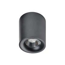 MANE LED - AZzardo - AZ-2844 - Mennyezet lámpa