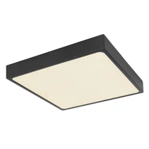 Globo ECHO mennyezet lámpamatt fekete fém opál akril LED 1x 28W 4000K (tartozék) IP20 - 12369-30