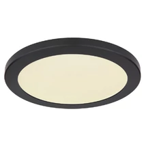 Globo LASSE mennyezet lámpafekete műanyag opál műanyag LED 1x 24W (tartozék) IP20 - 12379-24B