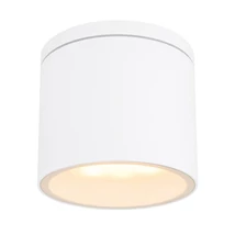 Globo ALCALA kültéri fali lámpamatt fehér alumínium áttetsző üveg GX53-LED 1x 11W (nem tartozék) IP44 - 32063W