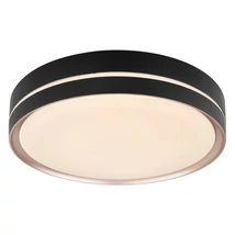 Globo MANNI mennyezet lámpafekete fém opál műanyag LED 1x 24W (tartozék) IP20 - 41759-24