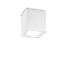 TECHO PL1 BIG BIANCO - IdealLux-251523 - Kültéri mennyezet lámpa
