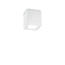 TECHO PL1 SMALL BIANCO - IdealLux-251561 - Kültéri mennyezet lámpa