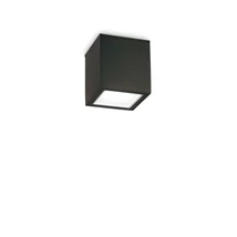 TECHO PL1 SMALL NERO - IdealLux-251578 - Kültéri mennyezet lámpa