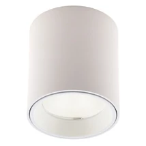 TUB - Maxlight-C0155 - Mennyezet lámpa