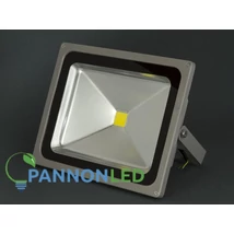 Reflektor Classic - PannonLED - PLed-LIFL-AXGIACT50C - LED Reflektor